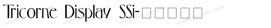 Tricorne Display SSi字体转换